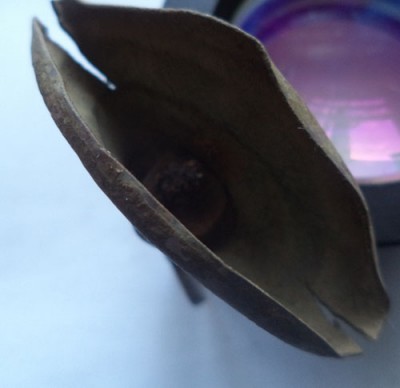 2015-05-04 08-42-46.JPG