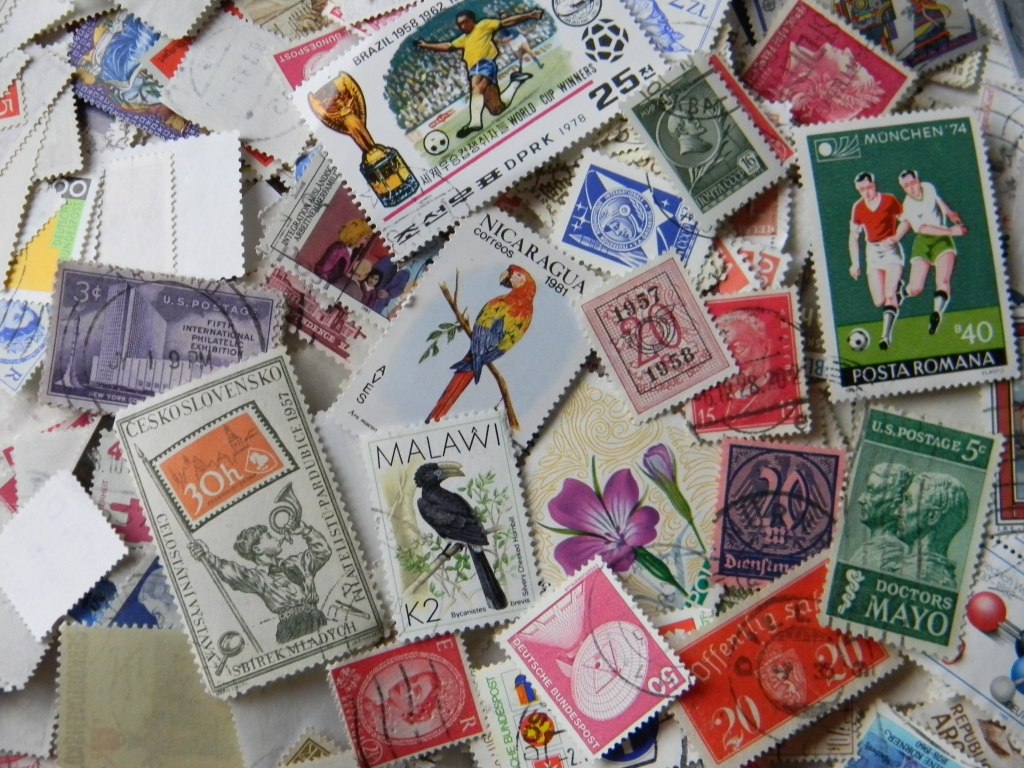 2017-11-07 12-36-50.JPG